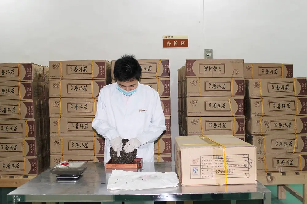 台州普洱茶检验展示